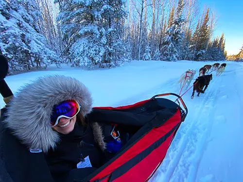 Chilly Dogs Sled Dog Trips.