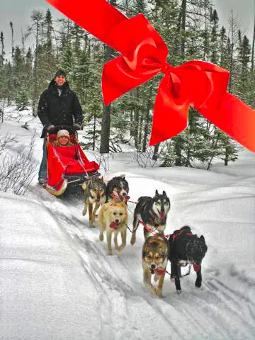 Chilly Dogs Sled Dog Trips Gift Certificates