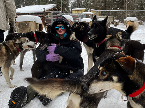 Chilly Dogs Sled Dog Trips is primarily a racing retirement kennel for Alaskan Husky sled dogs